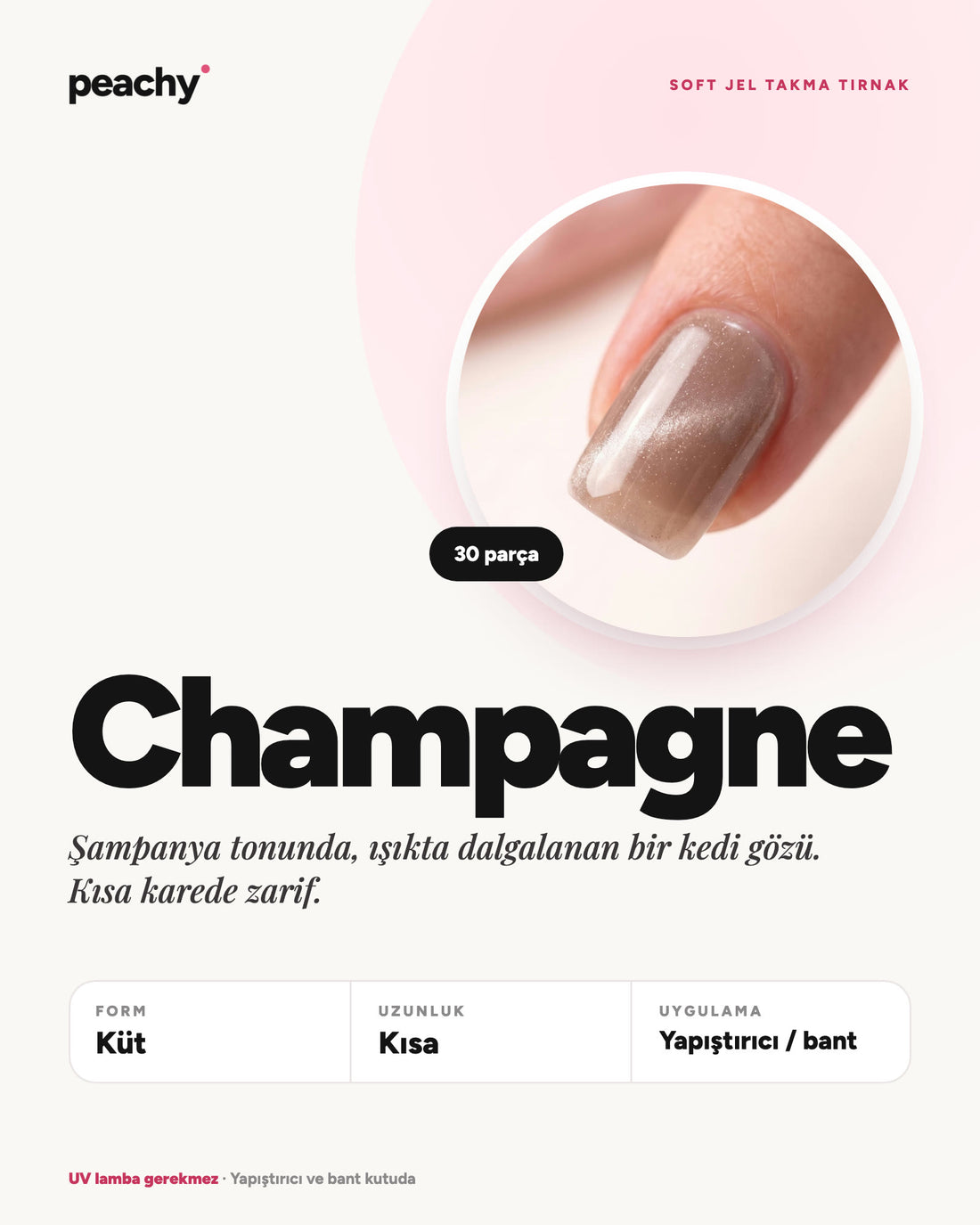 Champagne · Küt · Kısa · bilgi kartı · temsili görsel (AI)